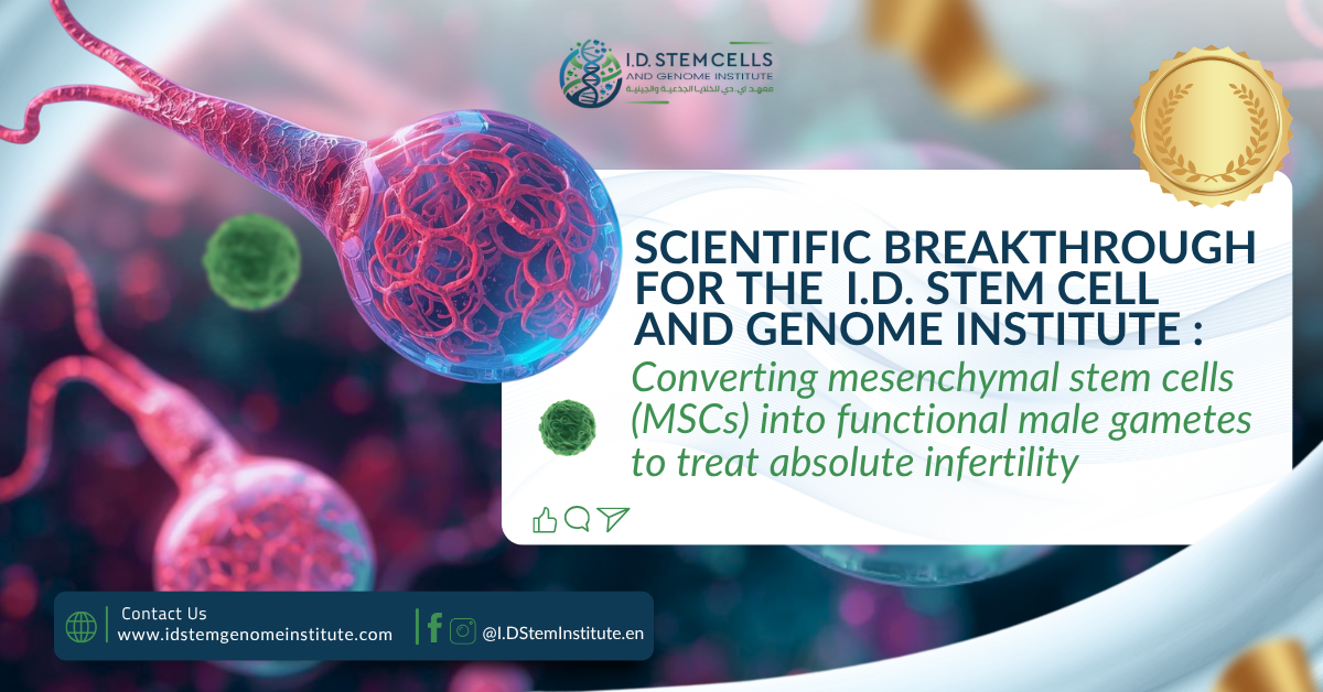 Scientific breakthrough for the  I.D. Stem Cell and Genome Institute : Converting mesenchymal stem cells (MSCs) into functional male gametes to treat absolute infertility